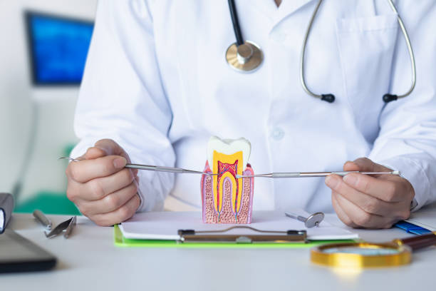 Best Dentist for Tooth Abscess  in Ripley, MS